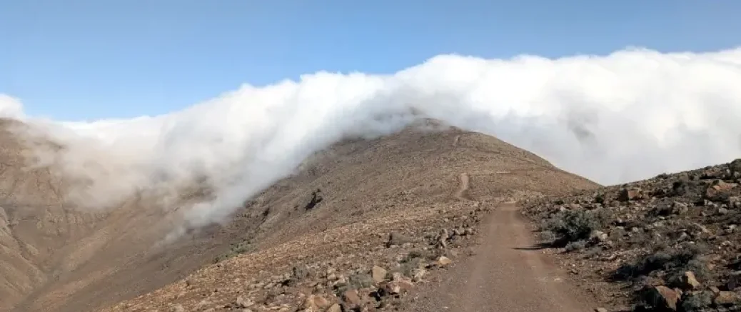 When you should check the forecast...